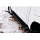 Бокові пороги OEM (2 шт) для Peugeot Landtrek 2020- рр.