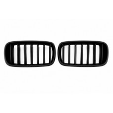 Ніздрі 1 Bar (чорний матовий) для BMW X6 F16 2014-2019 рр